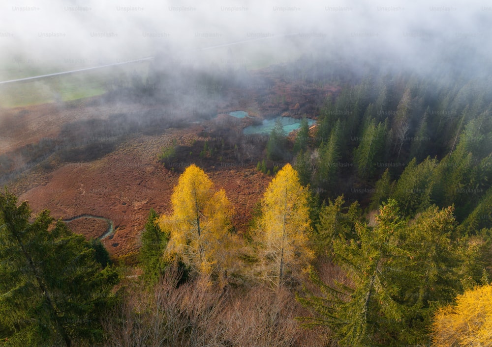 an aerial view of a wooded area with a blue pool in the middle of the