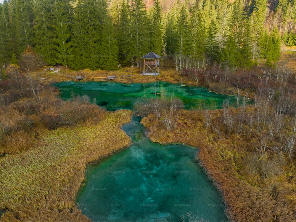 Un río que atraviesa un frondoso bosque verde