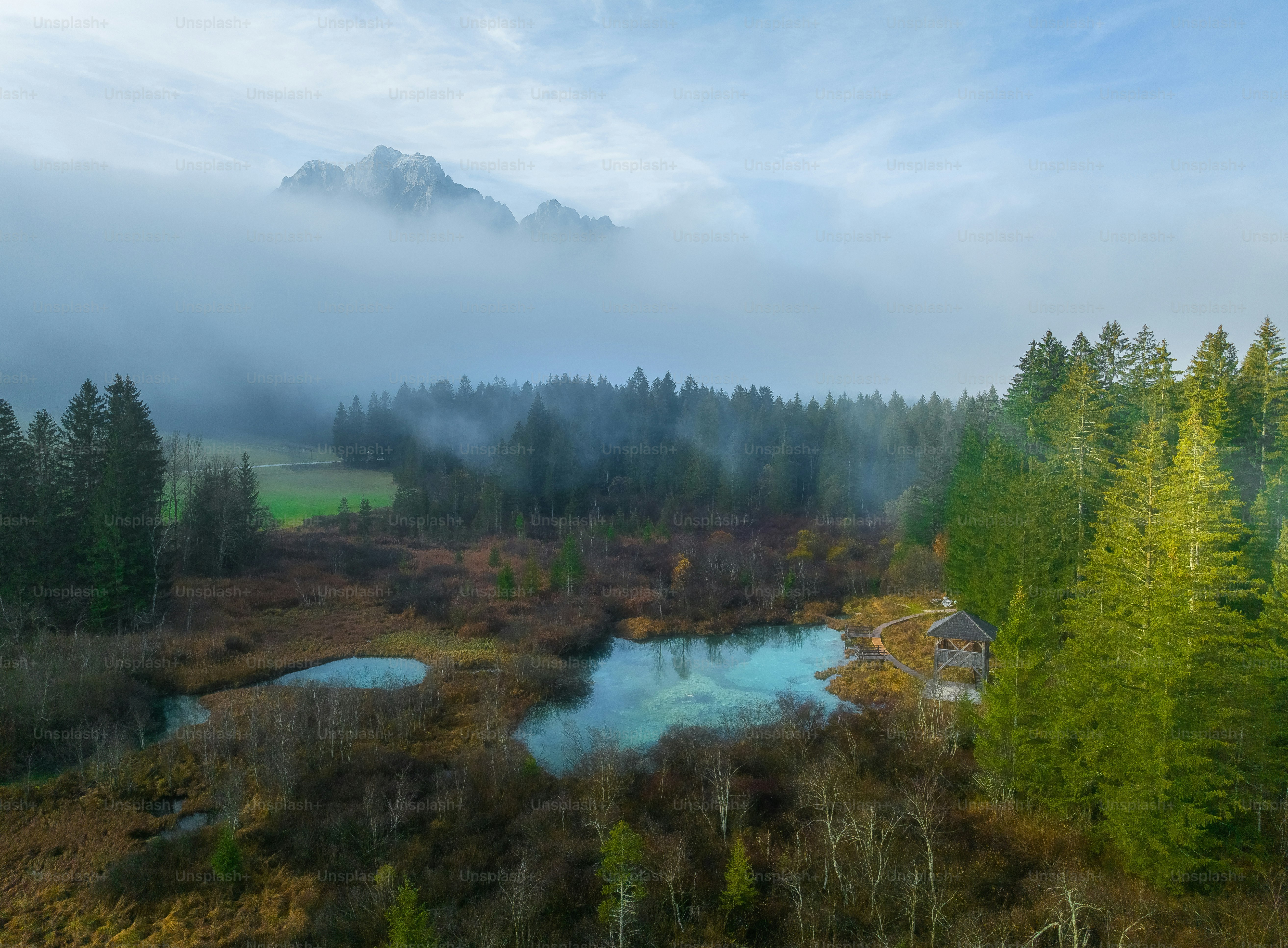 an aerial view of a river surrounded by trees