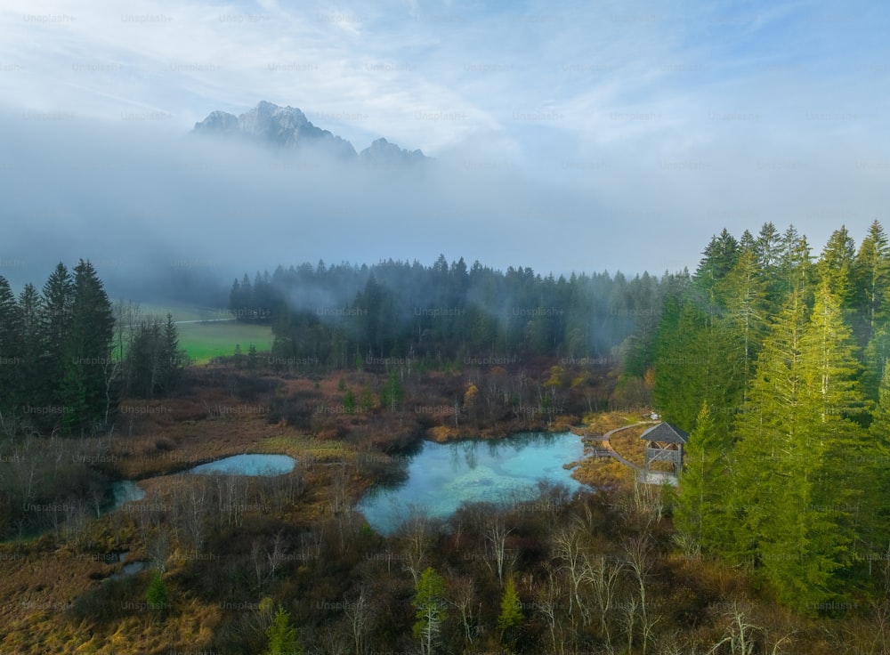 an aerial view of a river surrounded by trees