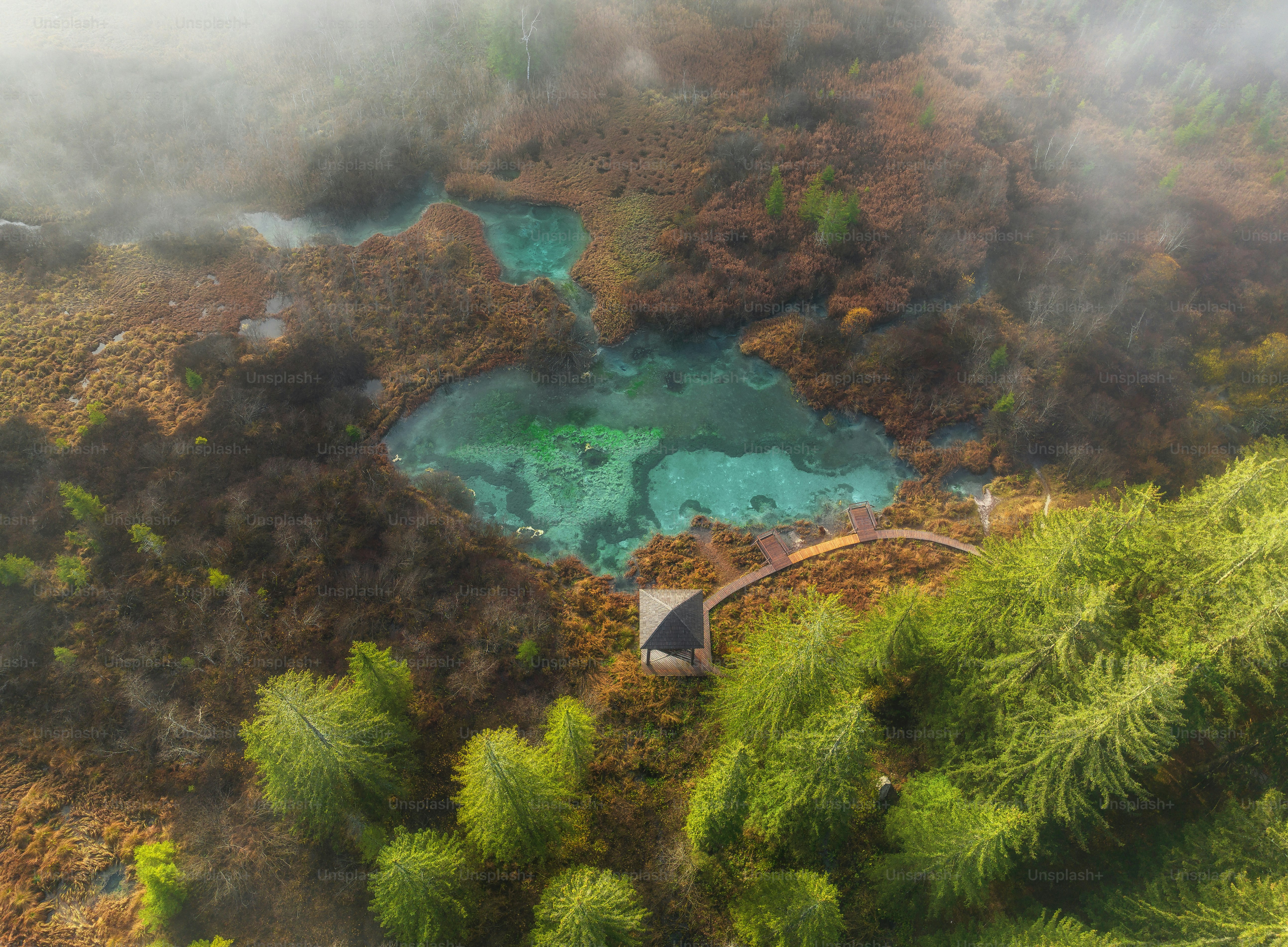an aerial view of a lake surrounded by trees