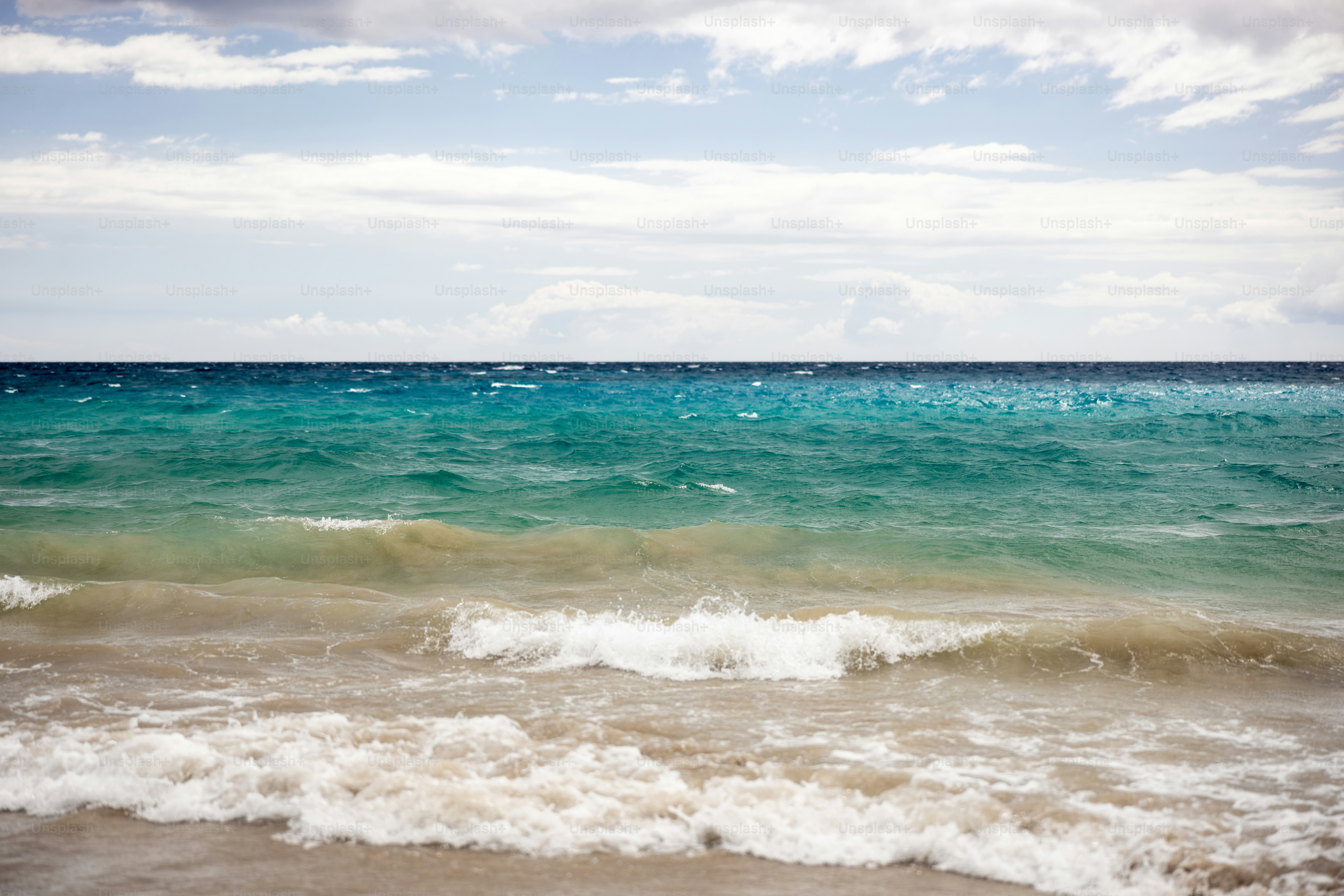 Clearwater Beach with Kids