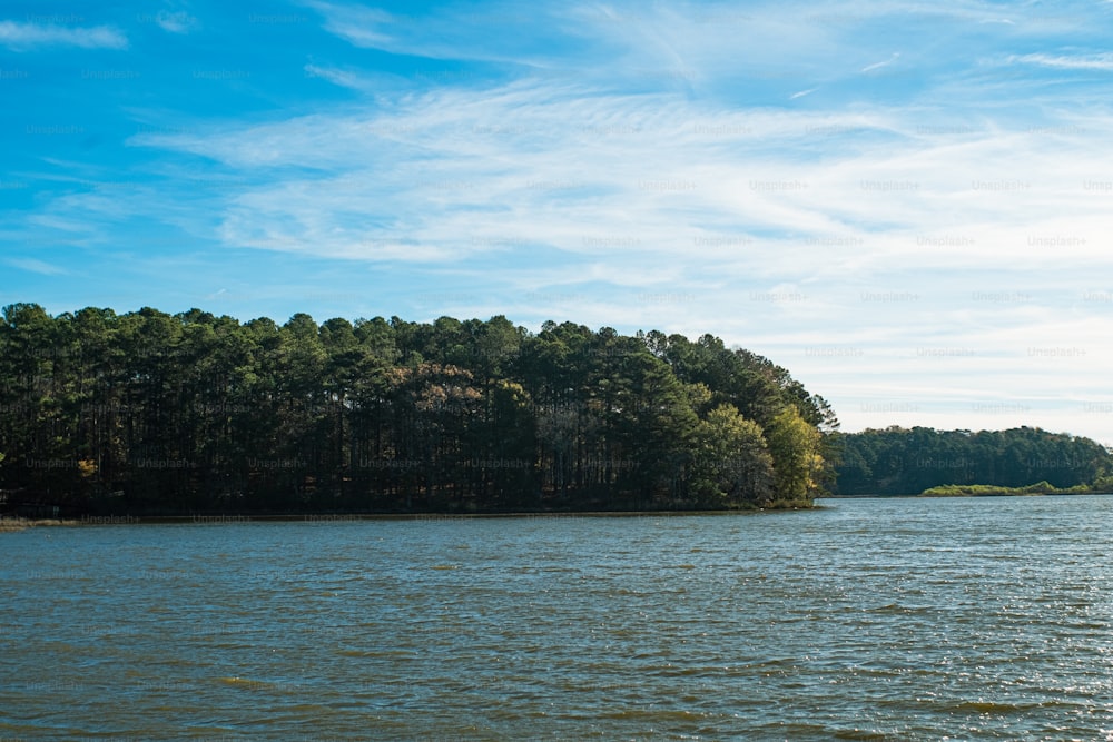 a body of water with trees in the background