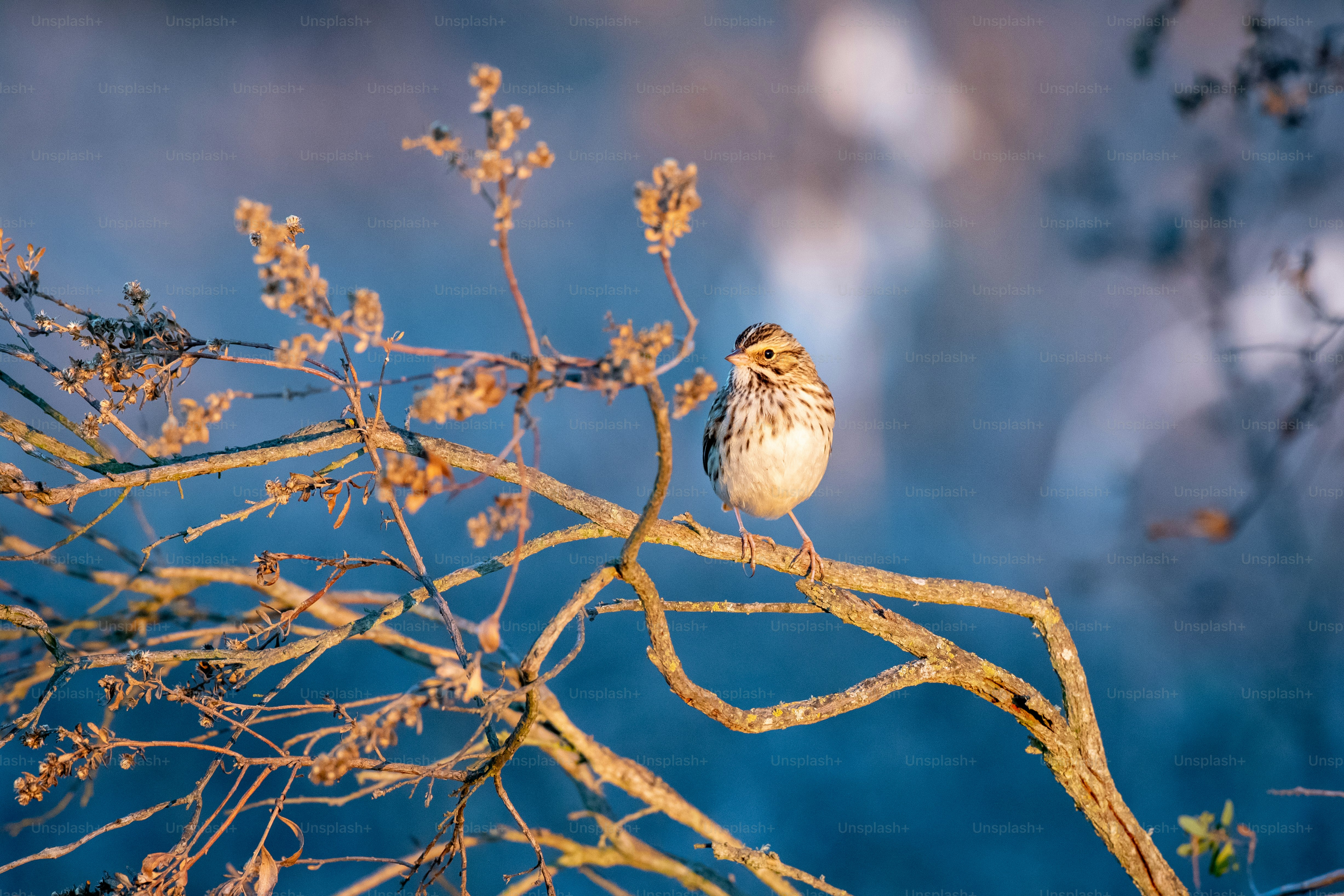 a small bird perched on top of a tree branch