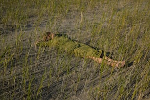 uma pessoa deitada em um campo de grama alta