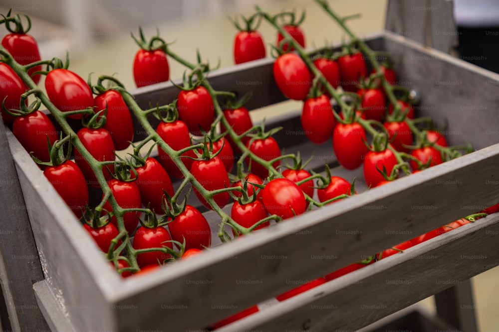 a crate filled with lots of red tomatoes