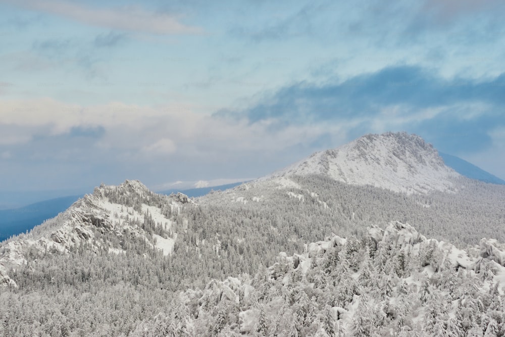 une montagne couverte de neige avec des arbres au premier plan