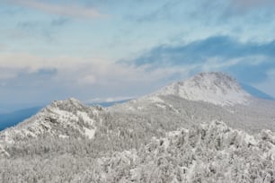 a mountain covered in snow with trees in the foreground