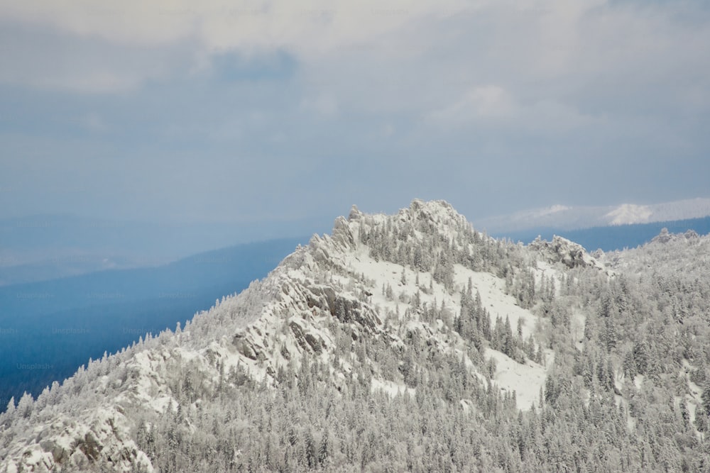 uma montanha coberta de neve com árvores