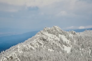 a snow covered mountain with trees on it