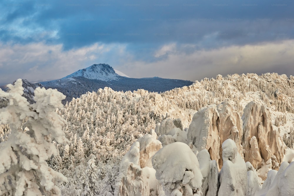 uma montanha coberta de neve ao lado de uma floresta