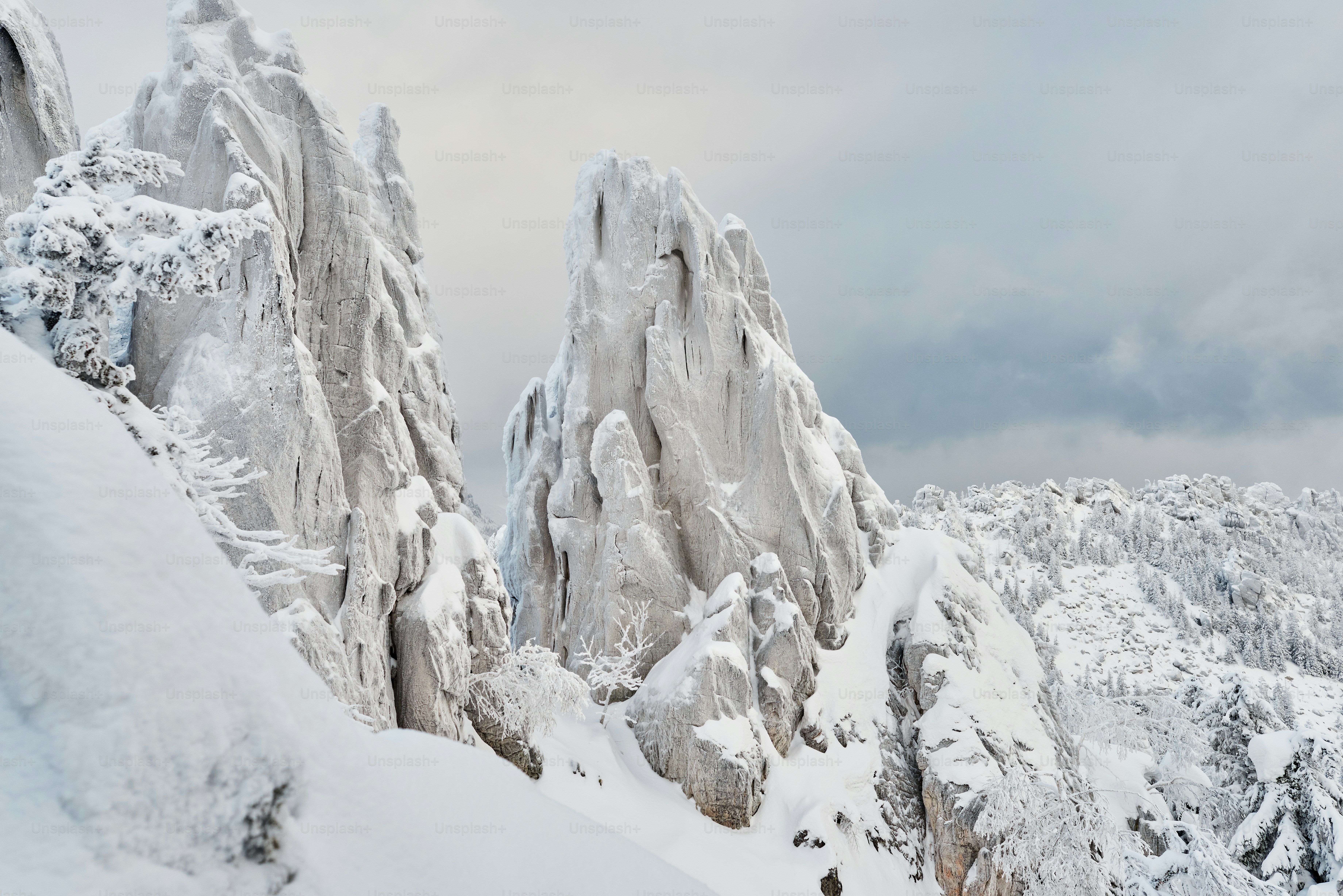 Una montaña cubierta de nieve junto a un bosque
