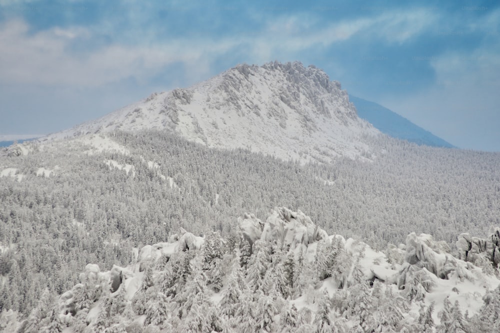 una montagna coperta di neve con alberi in primo piano