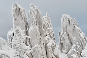 a group of rocks covered in snow next to trees