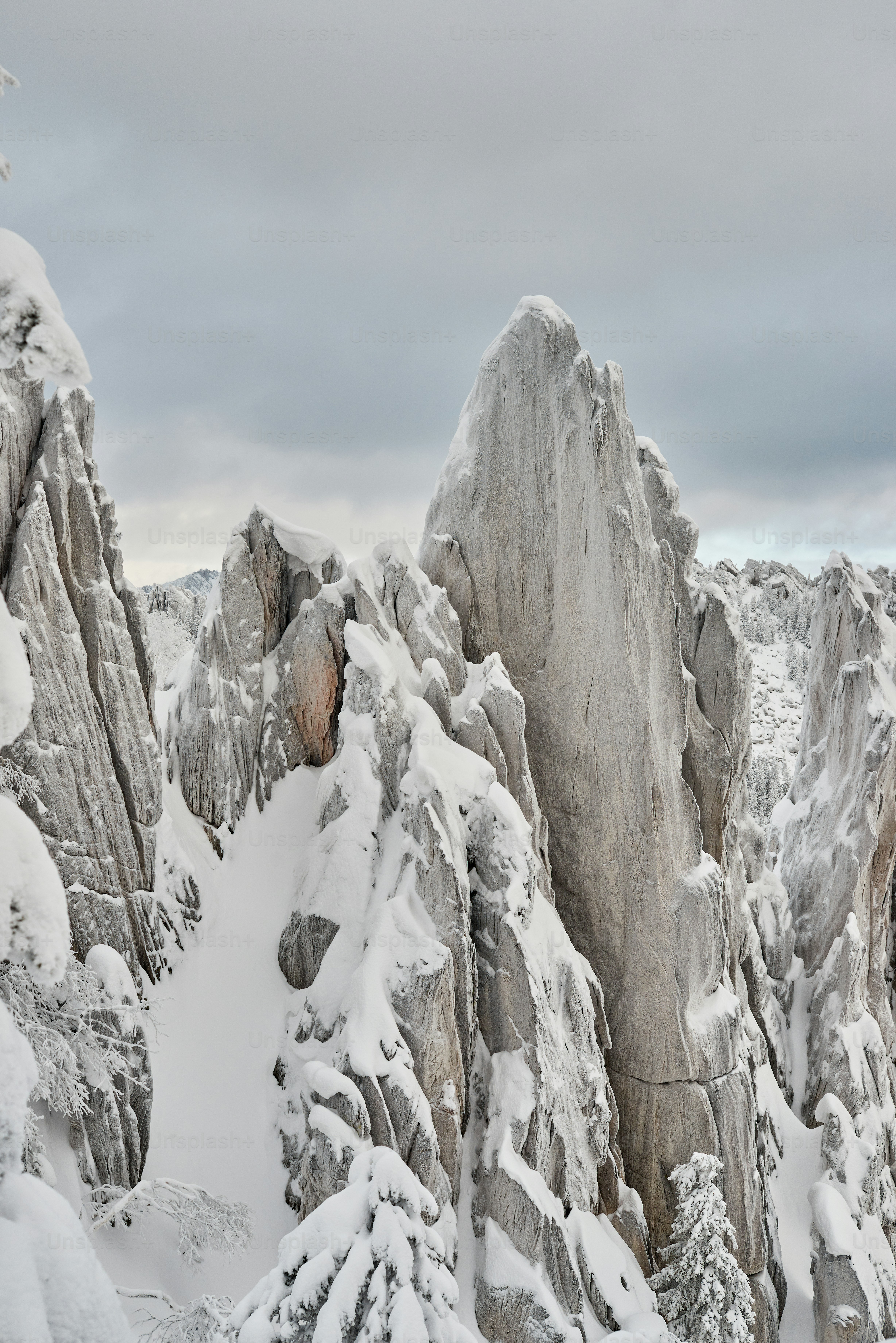 a mountain covered in snow next to a forest