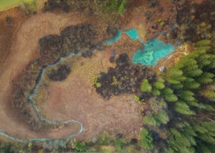 Ein Fluss aus der Vogelperspektive, der durch einen Wald fließt