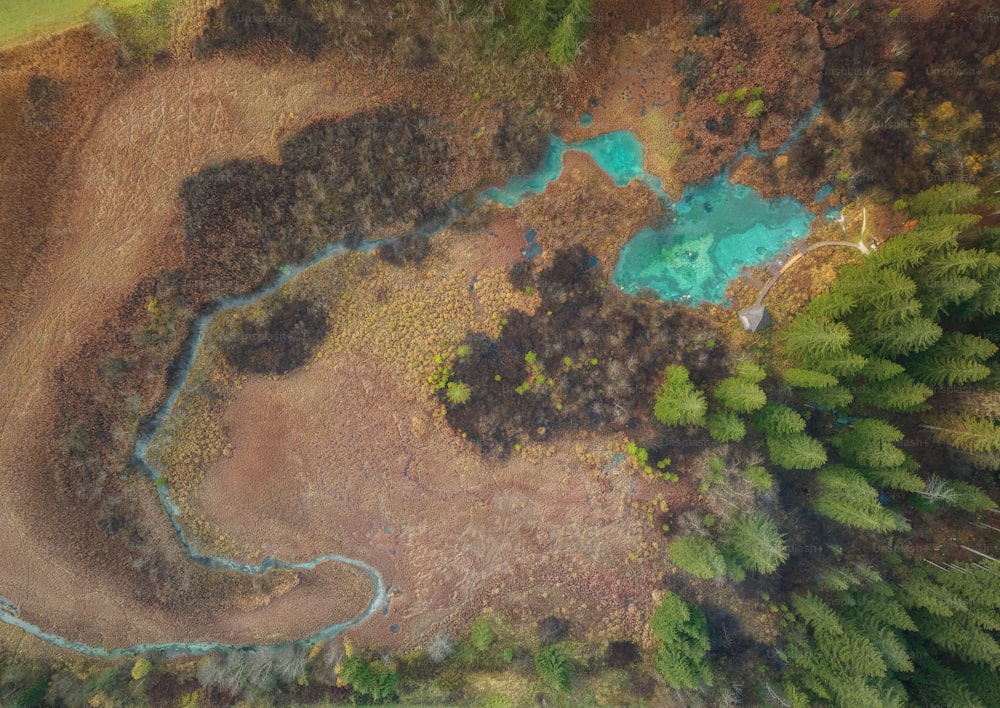 a bird's eye view of a river running through a forest