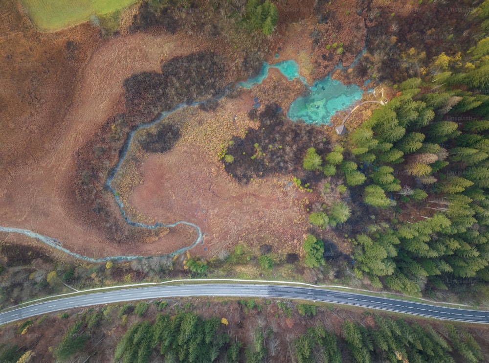 Una veduta aerea di una strada tortuosa nel bosco