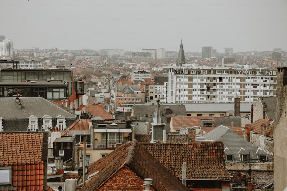 a view of a city from the top of a building