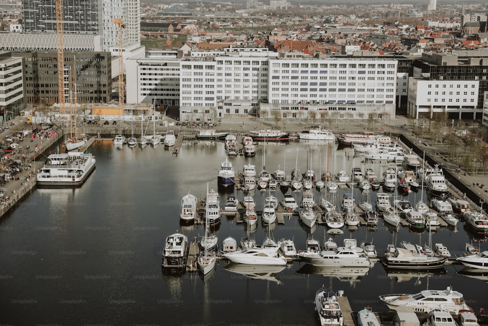 a harbor filled with lots of white boats