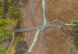 an aerial view of a road in the middle of a forest