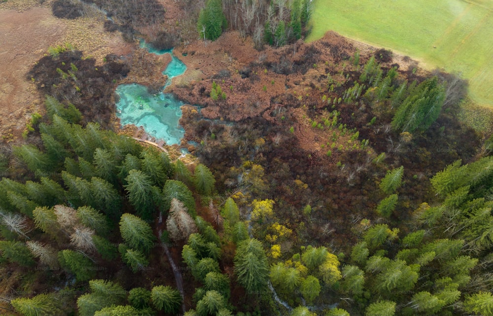 a bird's eye view of a river surrounded by trees