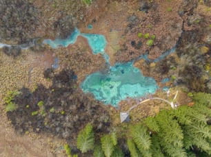 an aerial view of a pond surrounded by trees
