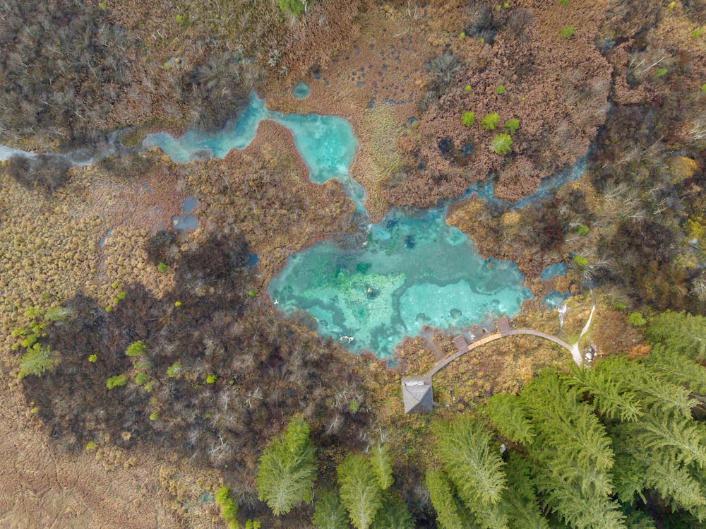 Eine Luftaufnahme eines Teiches, der von Bäumen umgeben ist