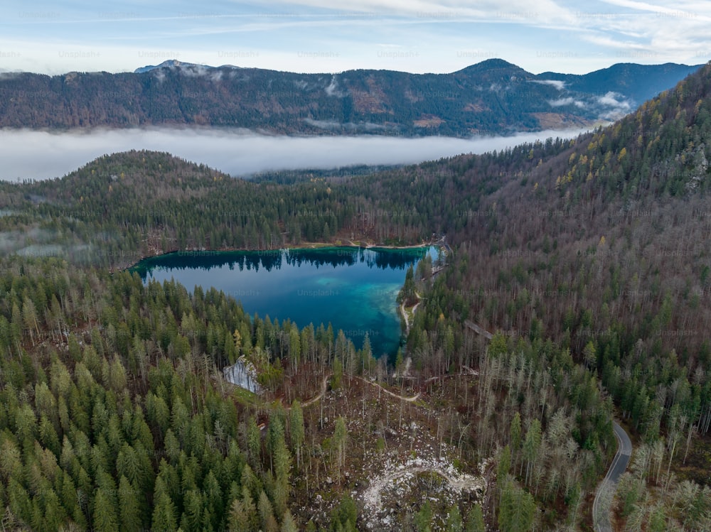 un grand lac entouré d’arbres au milieu d’une forêt