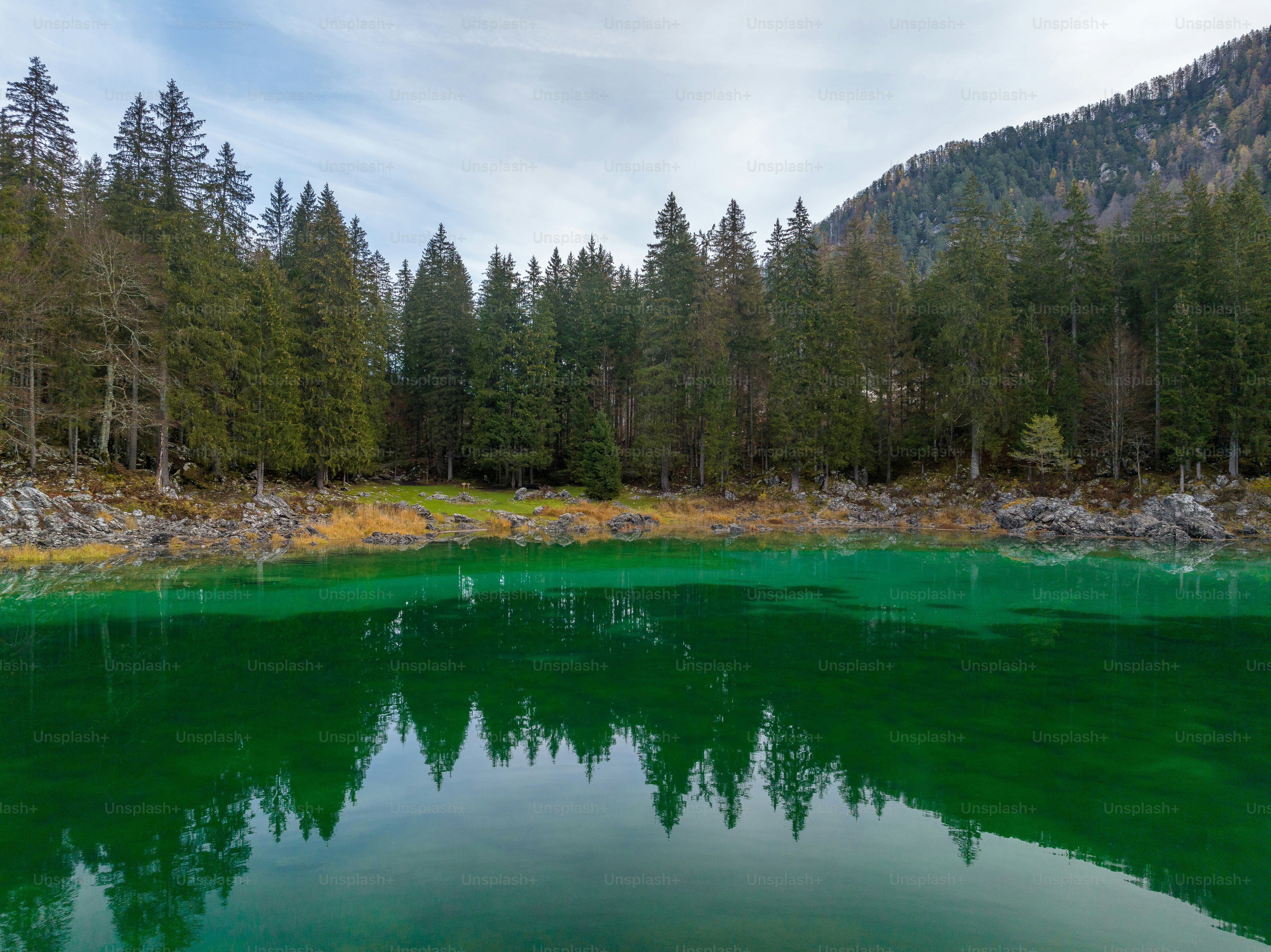 un plan d’eau entouré d’arbres et de rochers