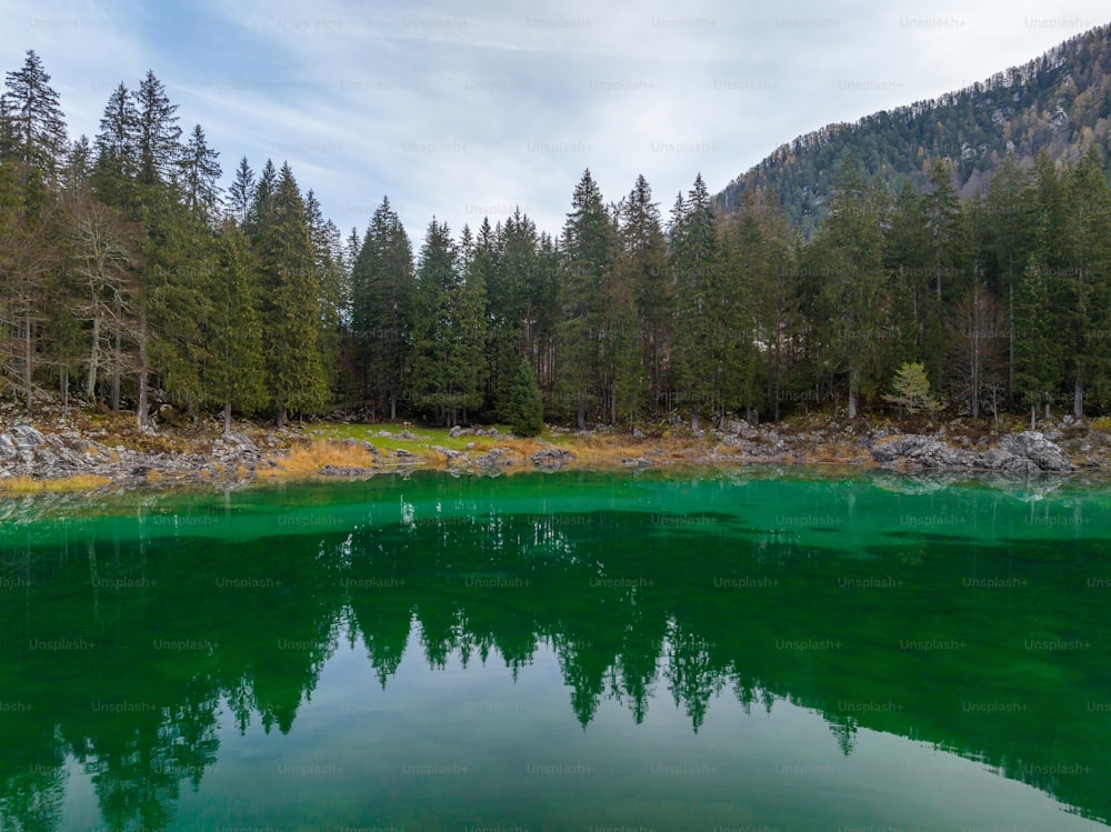 a body of water surrounded by trees and rocks