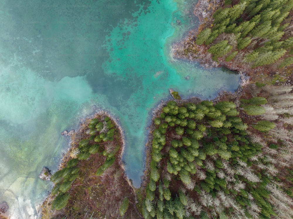 an aerial view of a body of water surrounded by trees