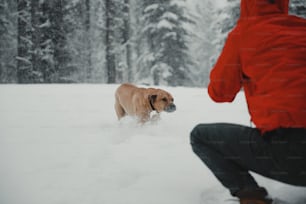 Ein Mann, der mit einem Hund im Schnee kniet