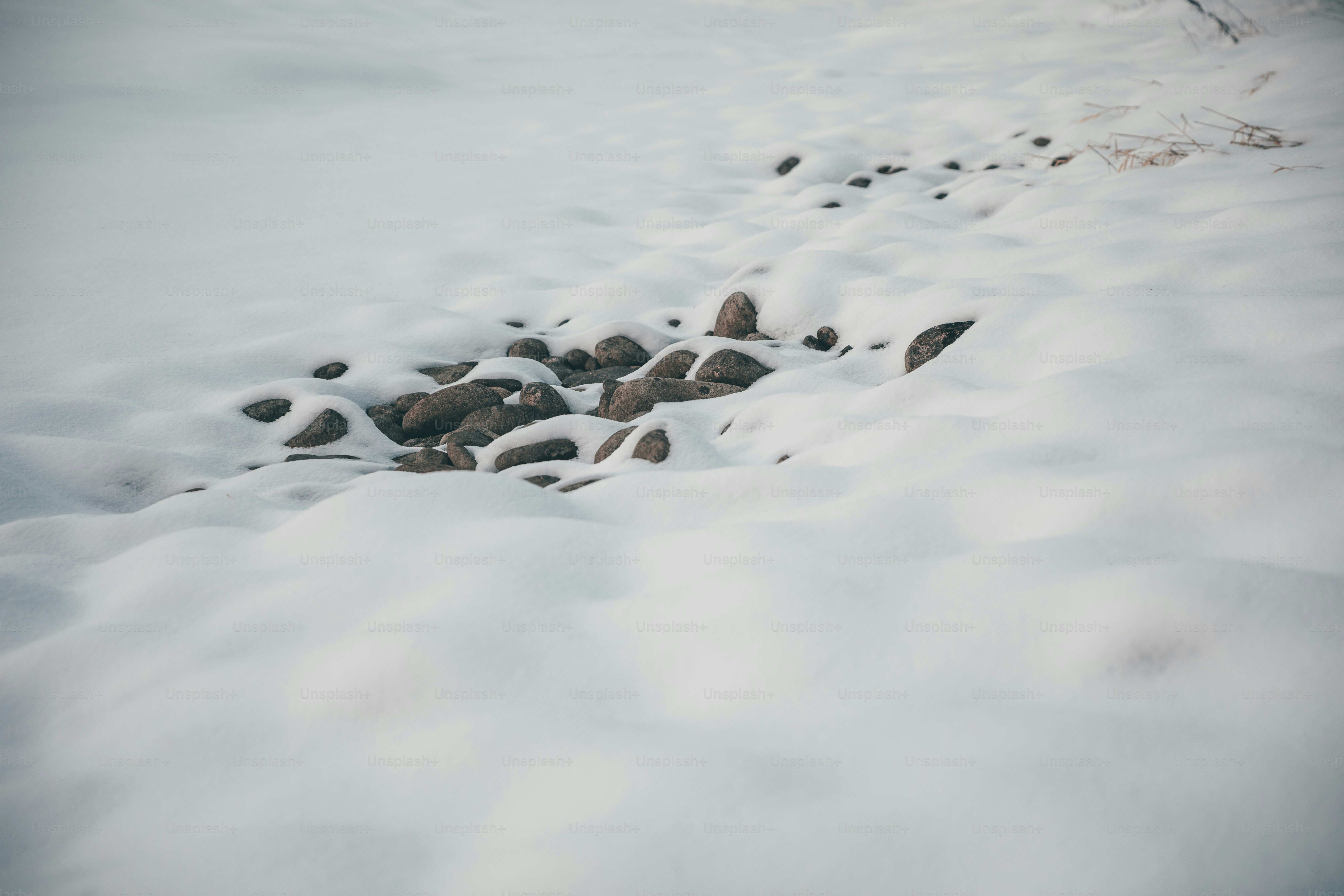 un tas de rochers qui sont dans la neige