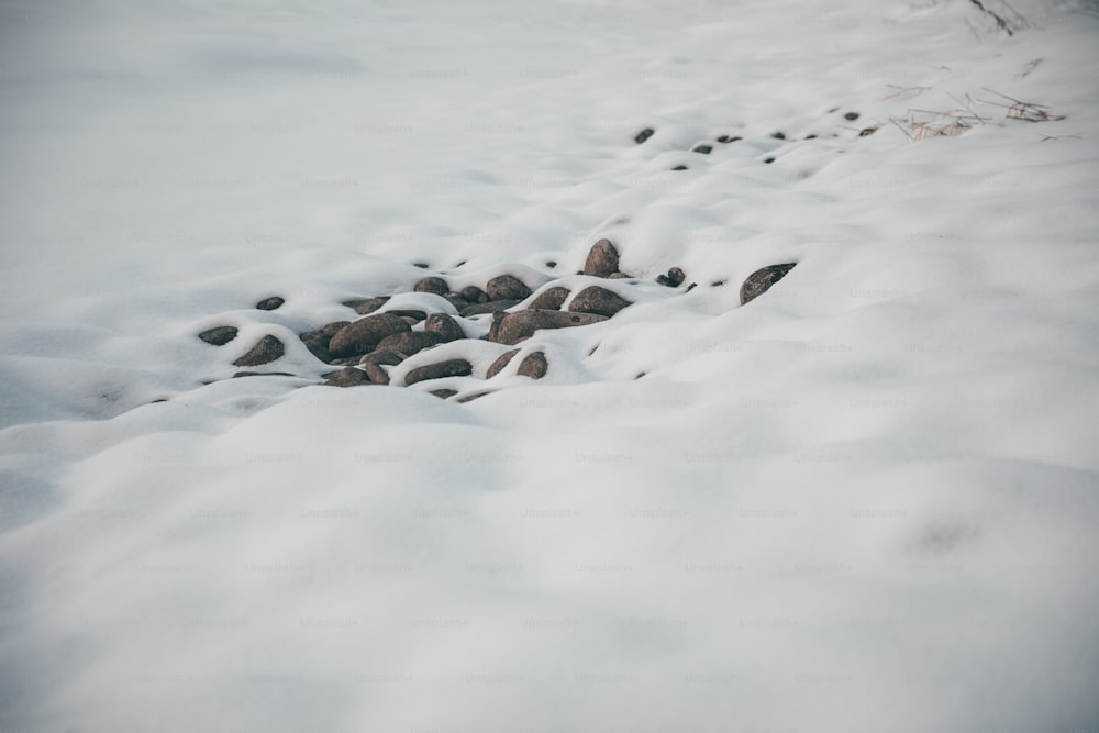 um monte de pedras que estão na neve