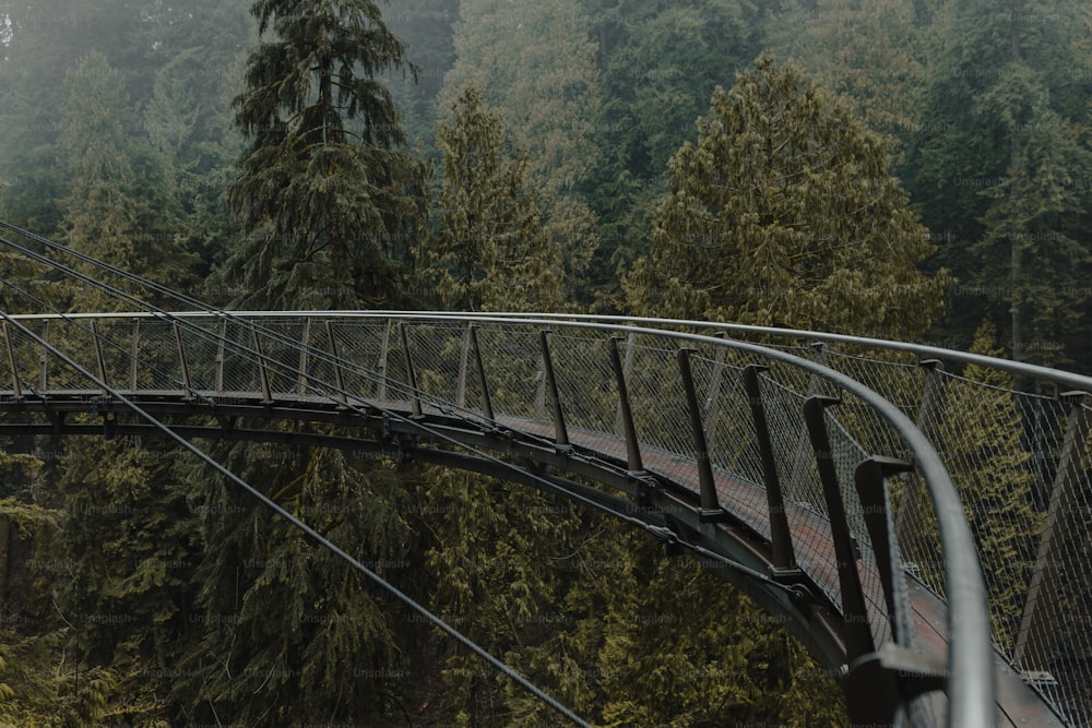 a train traveling over a bridge in the middle of a forest