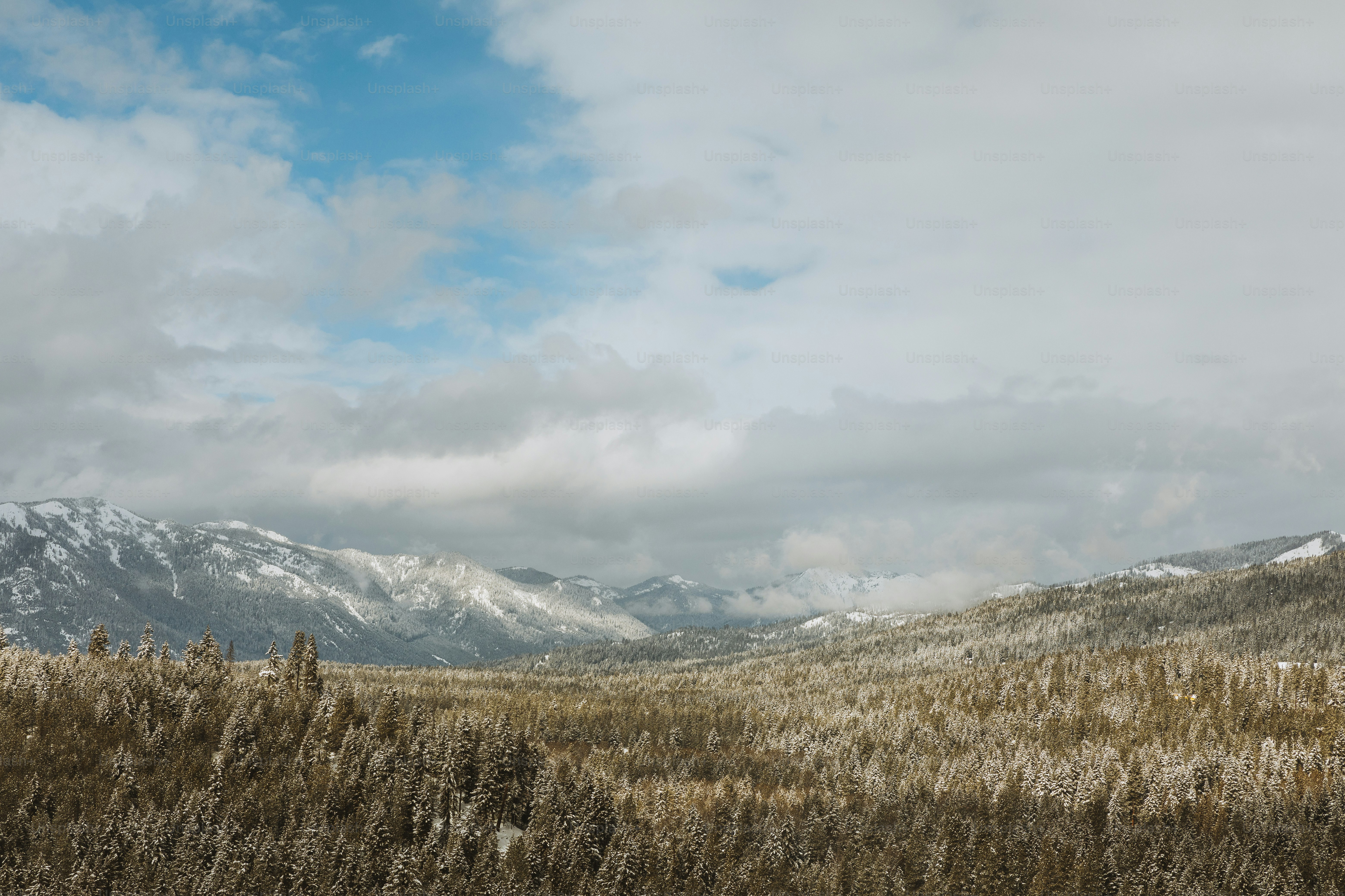 Un champ avec des montagnes enneigées en arrière-plan