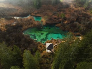 an aerial view of a pond surrounded by trees