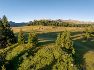 a grassy field with trees and mountains in the background