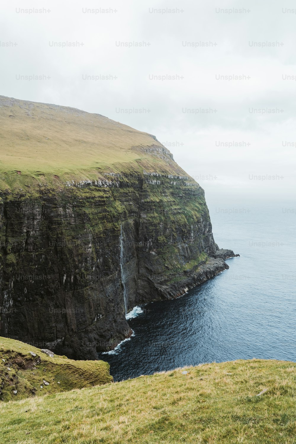 Una oveja parada en el borde de un acantilado con vistas al océano