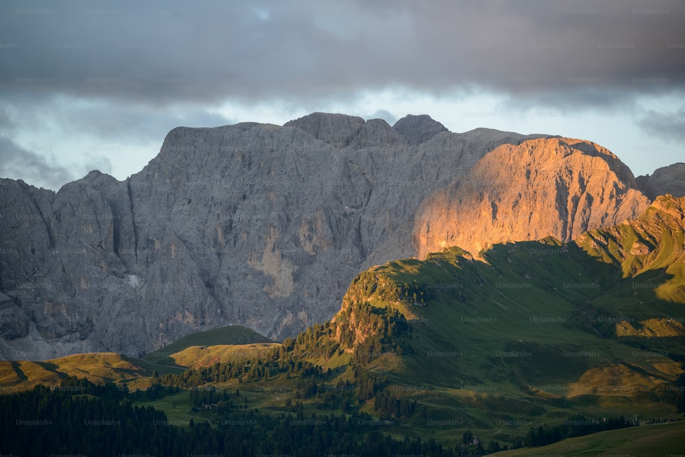 a mountain range with a few trees in the foreground