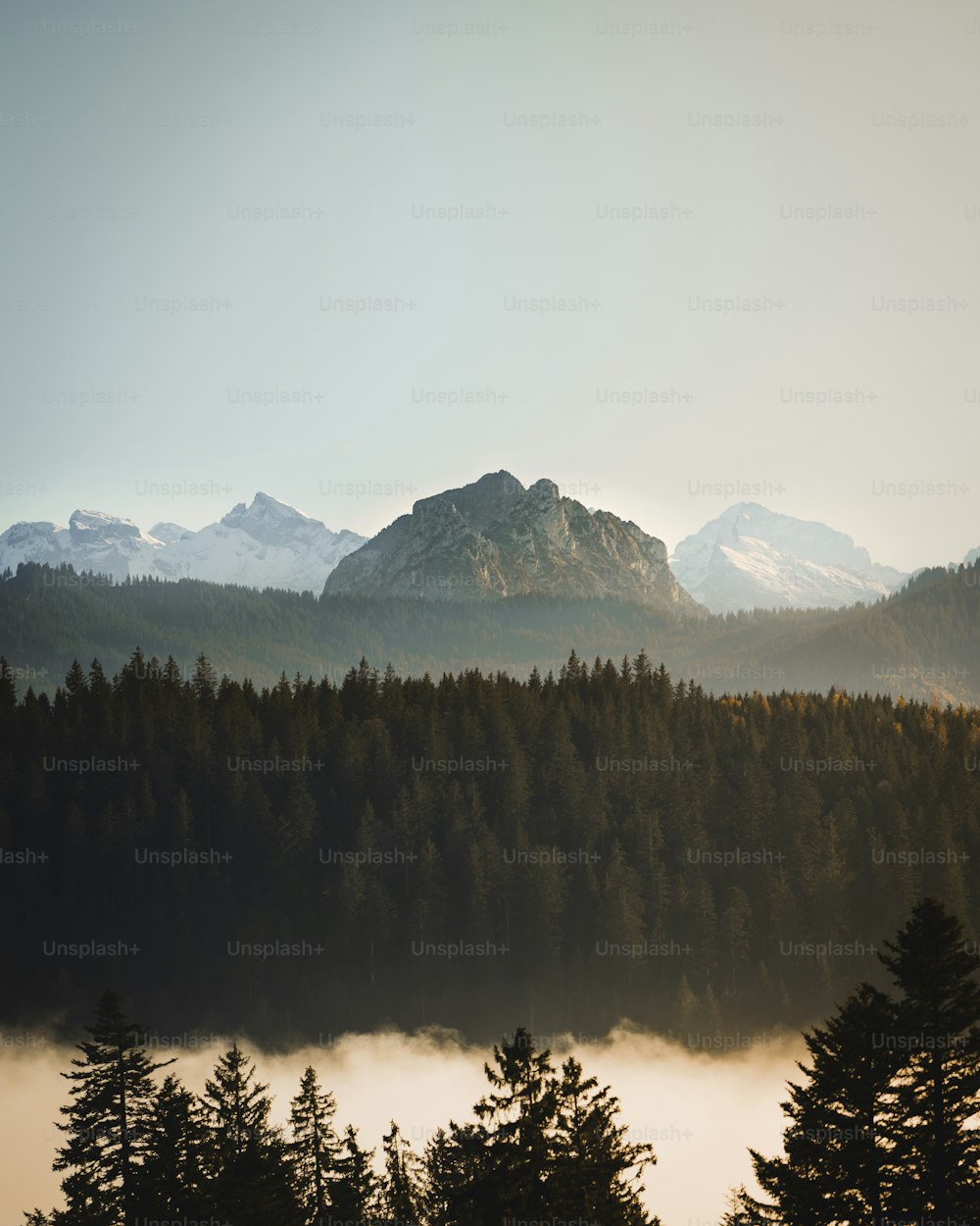 a view of a mountain range with trees in the foreground