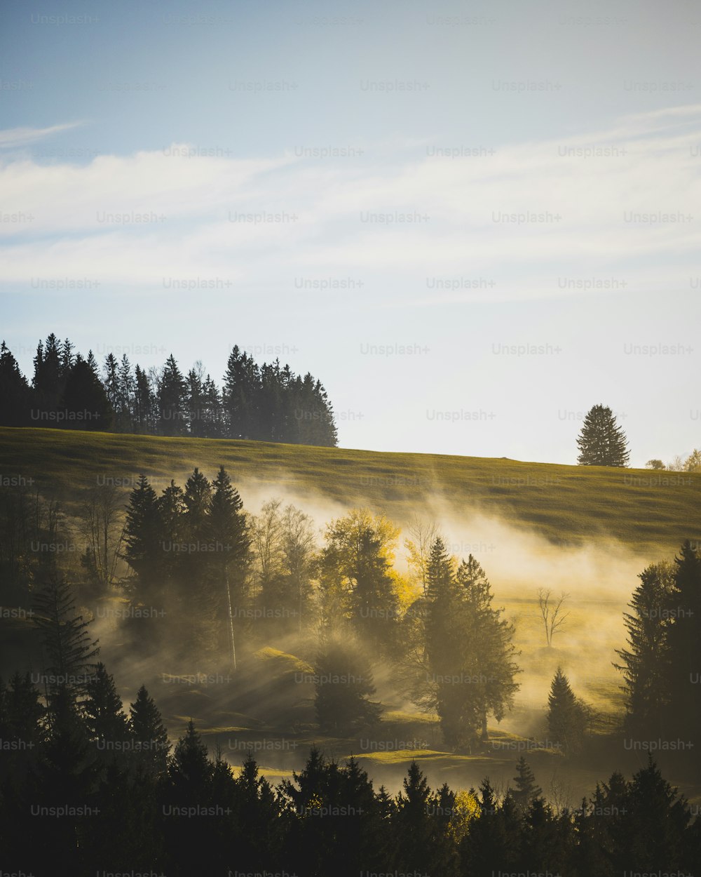 a field with trees and fog in the air