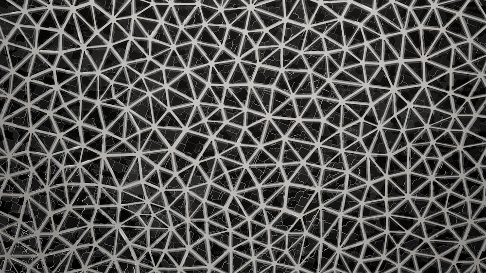 ein Schwarz-Weiß-Foto eines Musters