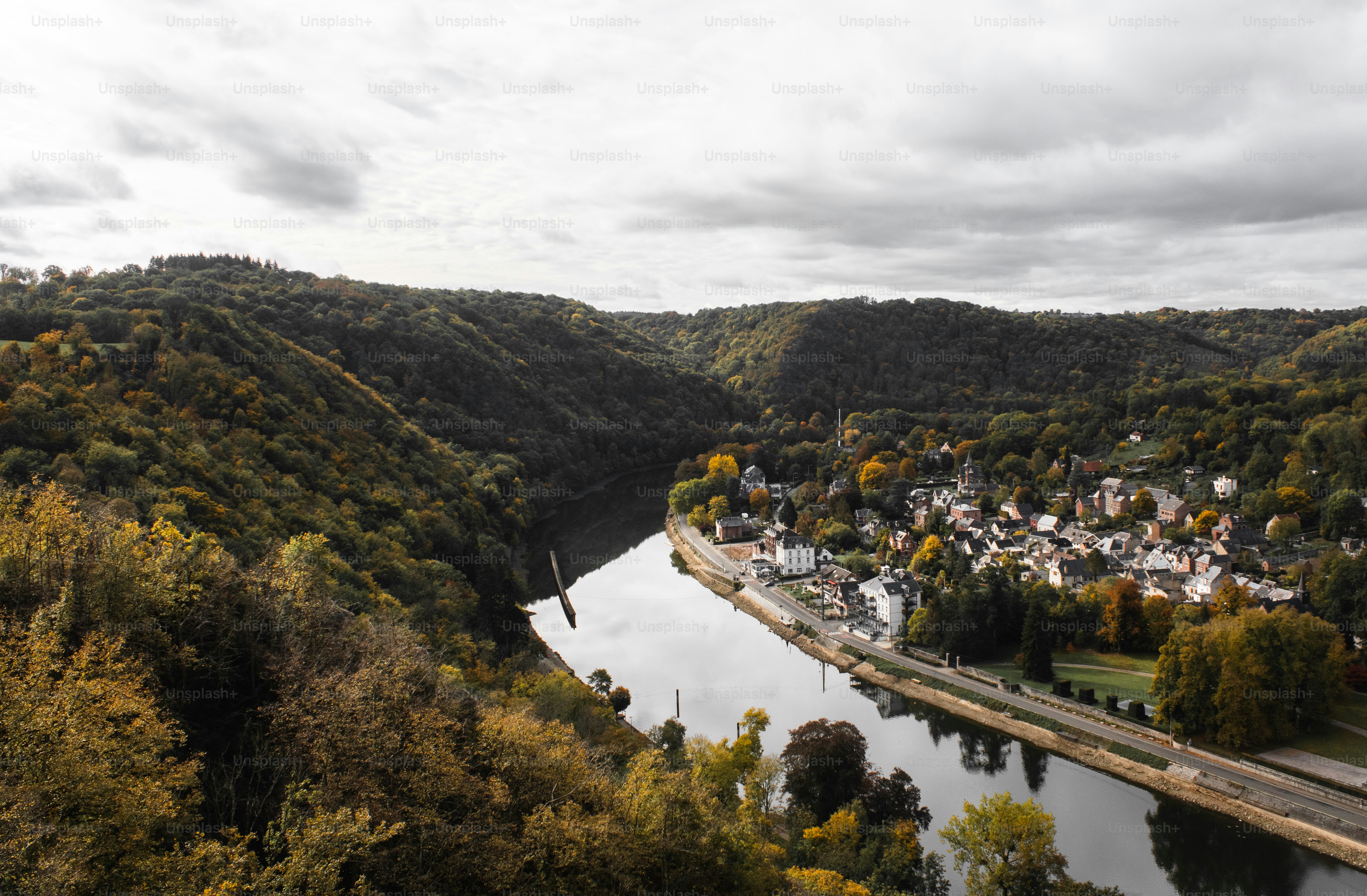 Ein Fluss, der durch einen üppigen grünen Wald fließt