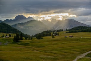 a grassy field with mountains in the background