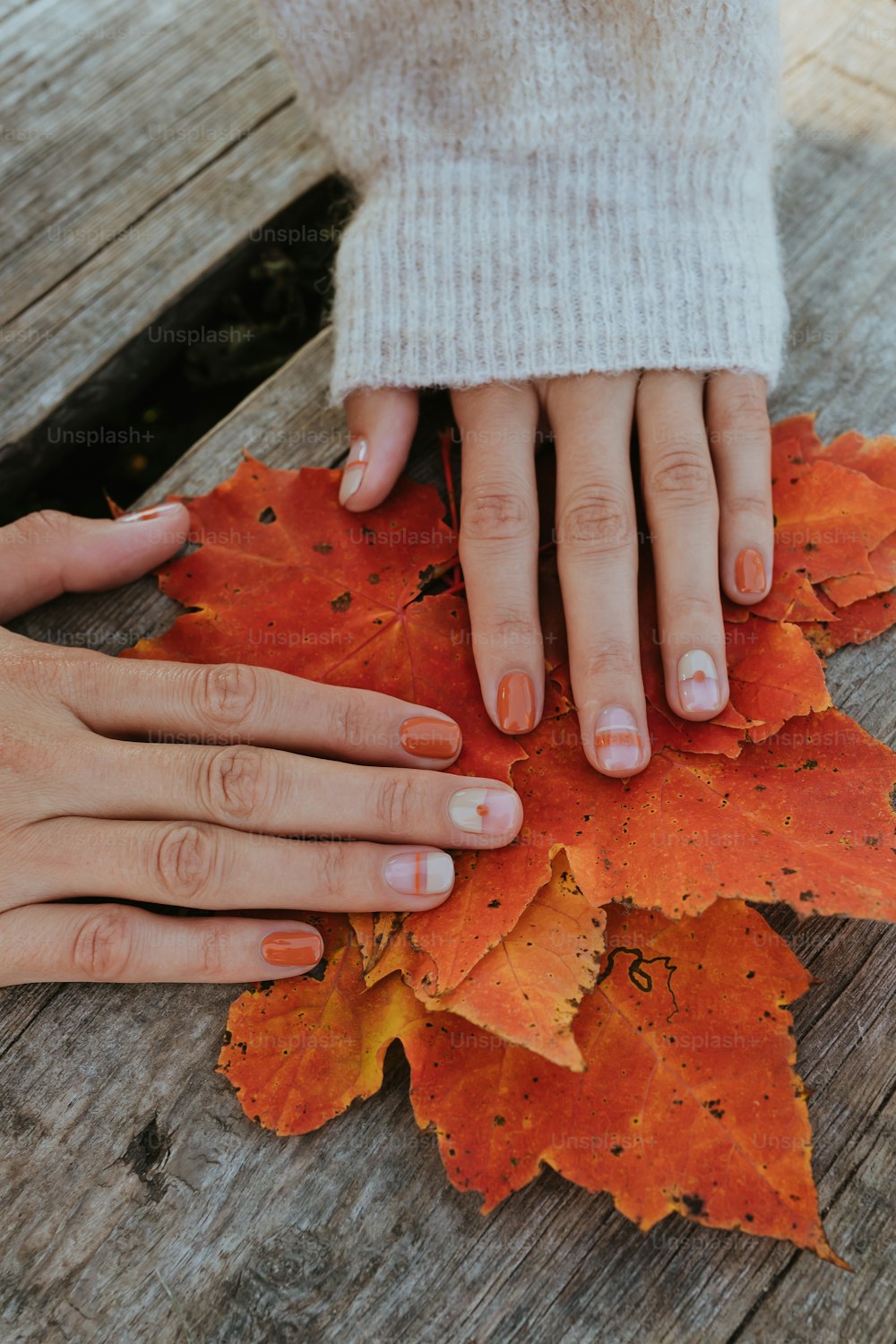 a woman's hands on top of a pile of leaves