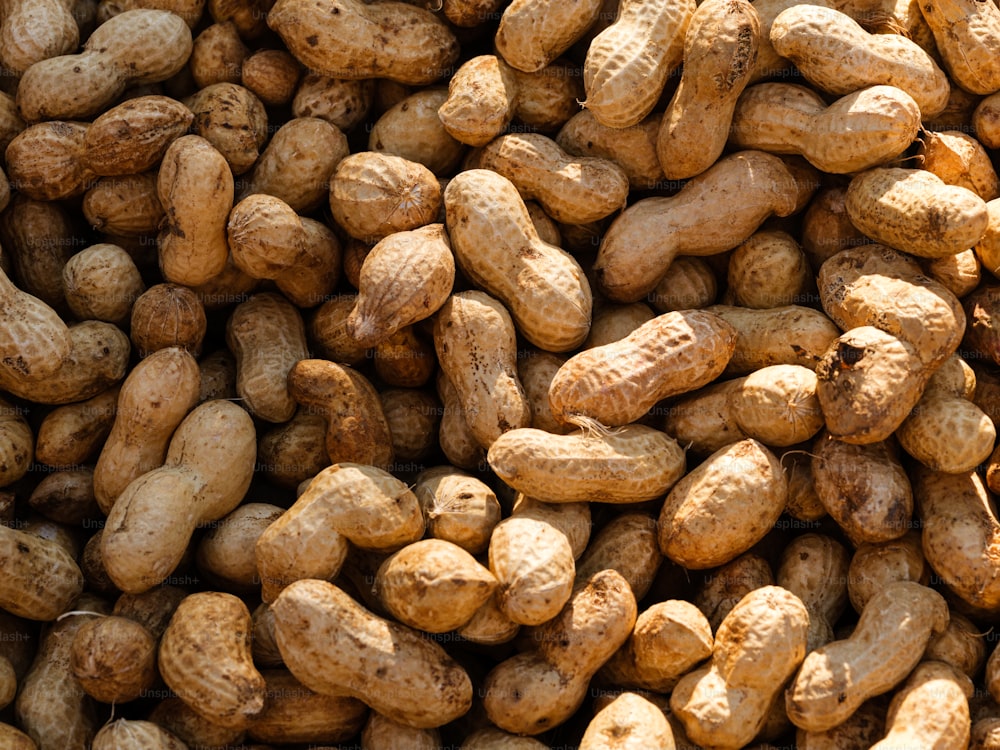 un tas de cacahuètes assises les unes à côté des autres
