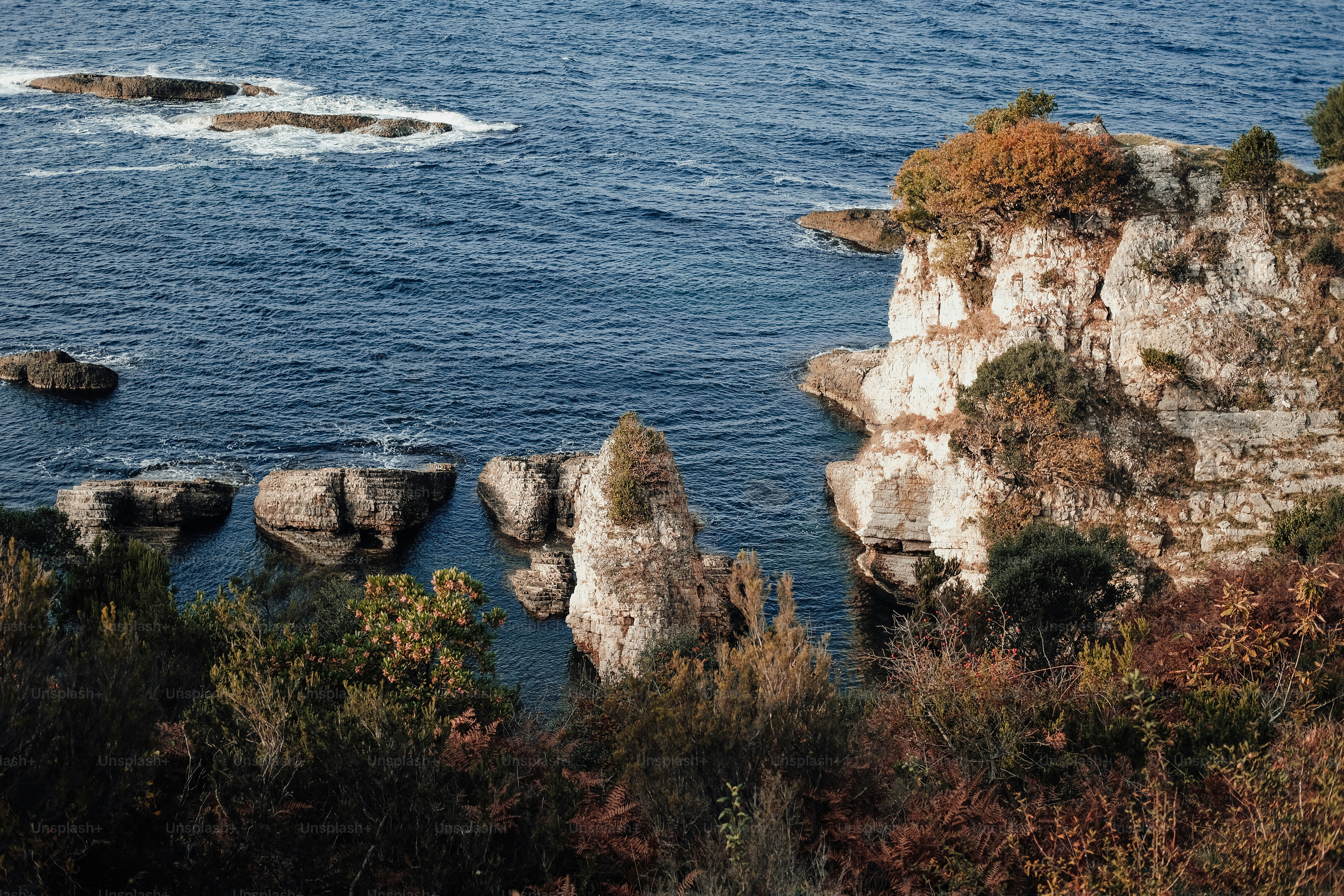 a body of water surrounded by rocks and trees