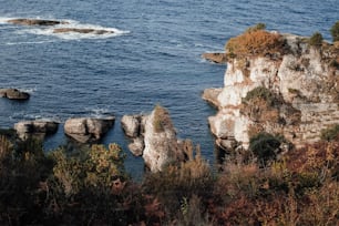 Ein Gewässer, umgeben von Felsen und Bäumen